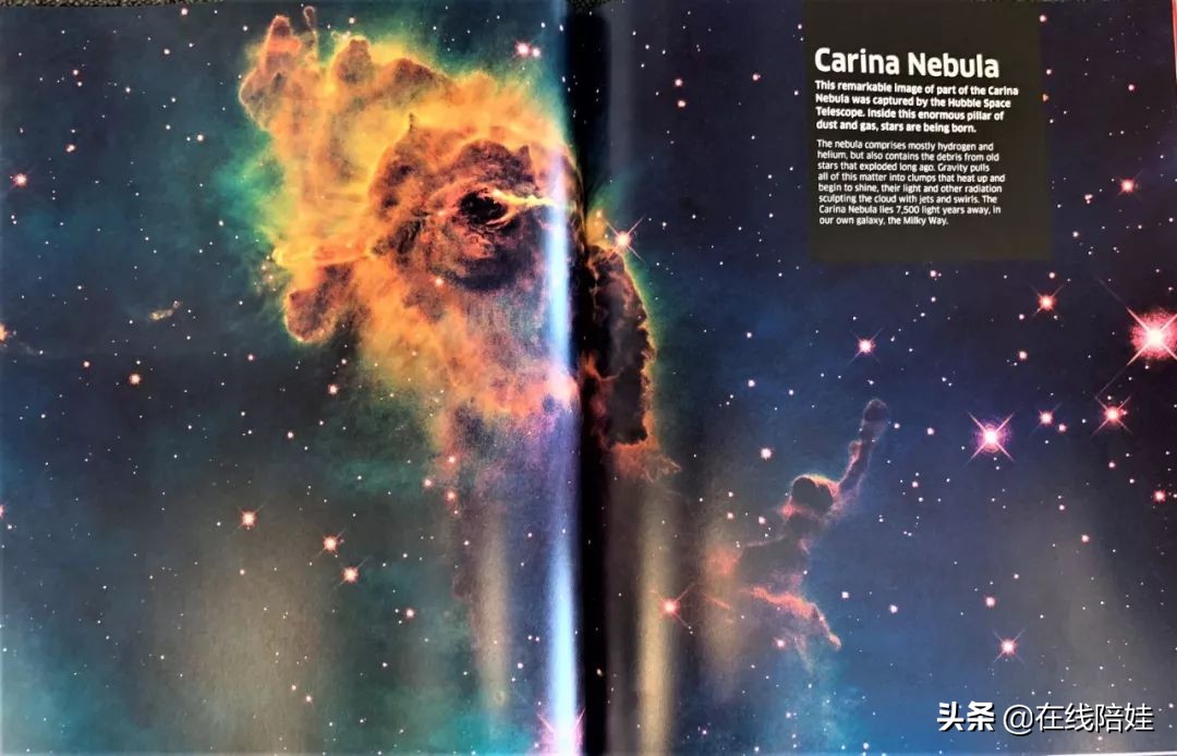 dk知识大百科全套,dk知识大百科书金银版