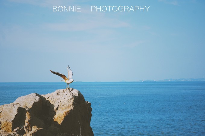 嵊泗列岛3天2夜攻略,嵊泗本岛三天两夜自由行攻略