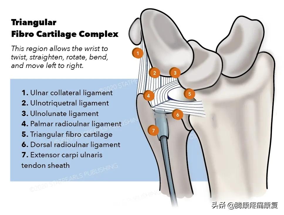 腕关节三角纤维软骨复合体损伤,三角纤维软骨损伤最佳治疗方法