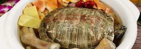 龟肉怎么煮好吃又简单,龟肉应怎么吃