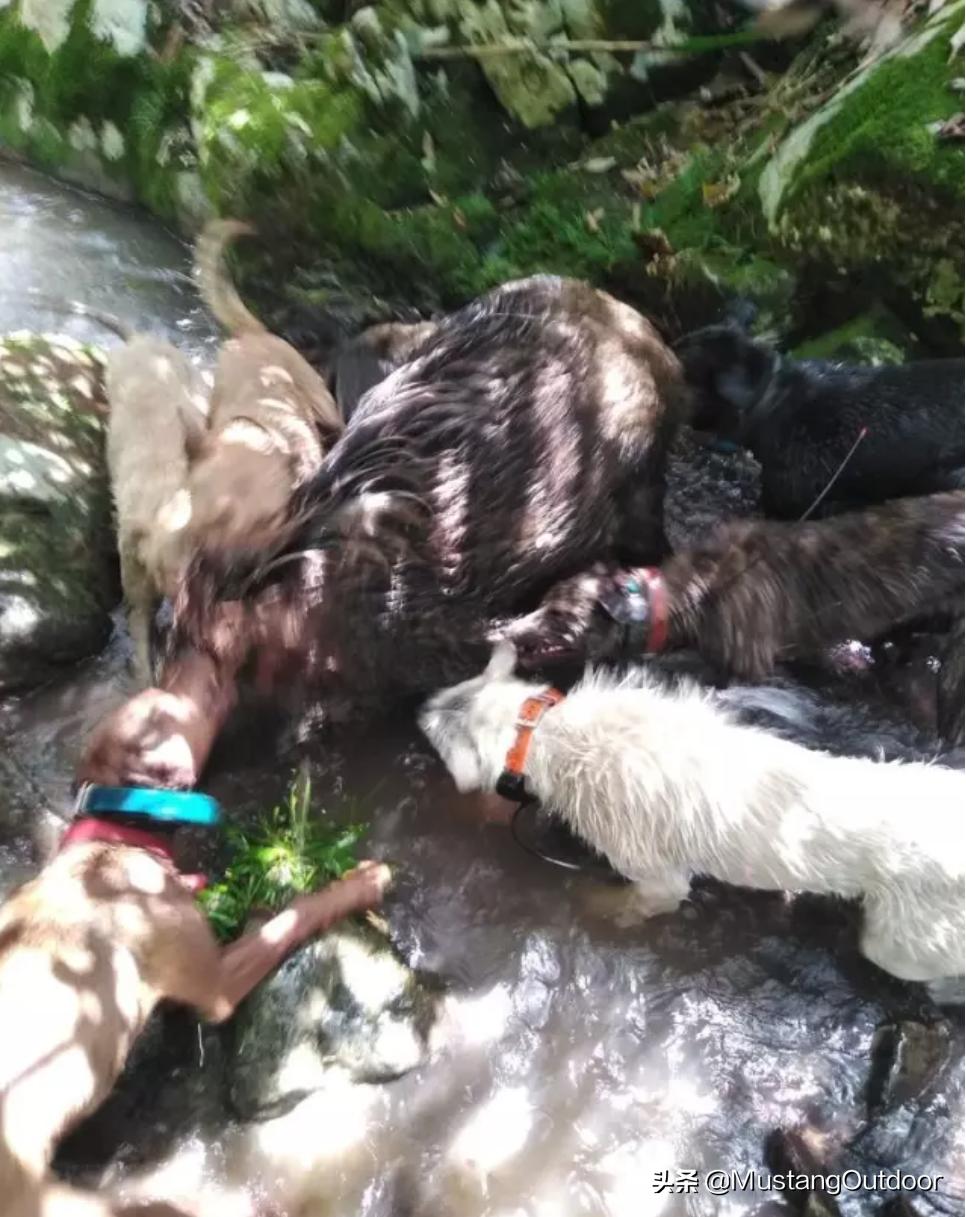 浅谈教学心得体会,浅谈心得