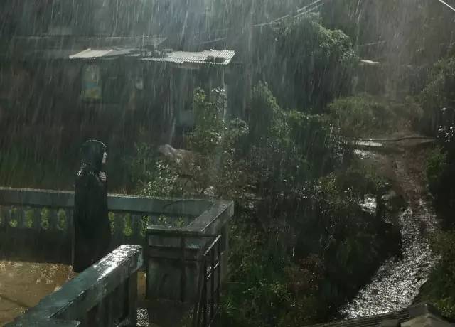 母亲替儿子伸冤,母亲为儿子伸冤全集