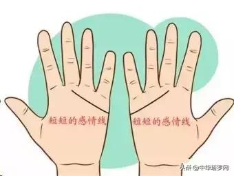 手相之感情线揭露感情的秘密,手相感情线大全图
