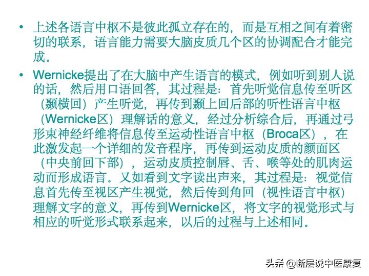 中枢神经系统断层解剖讲解,中枢神经3d解剖动画