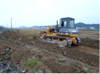 青蛙住“宾馆”，农田会呼吸，这个村发生了啥？