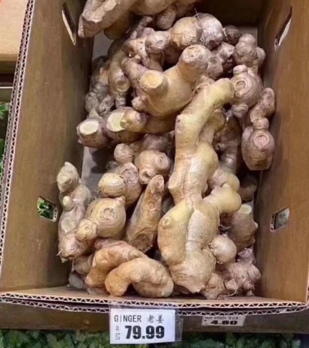 nonono猫原视频,德国bozo卫生间厕纸盒壁挂式