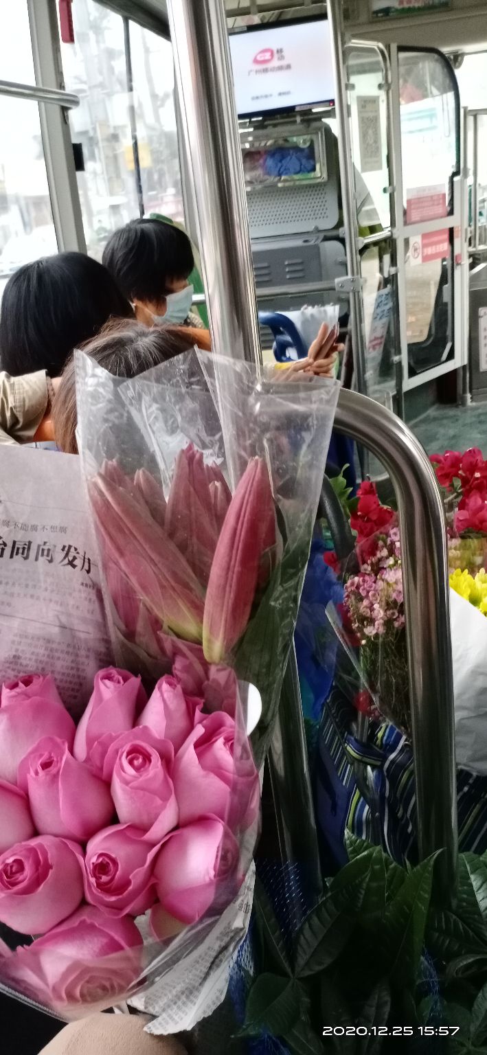 逛岭南花卉市场攻略,岭南芳村花卉批发市场游玩的美文