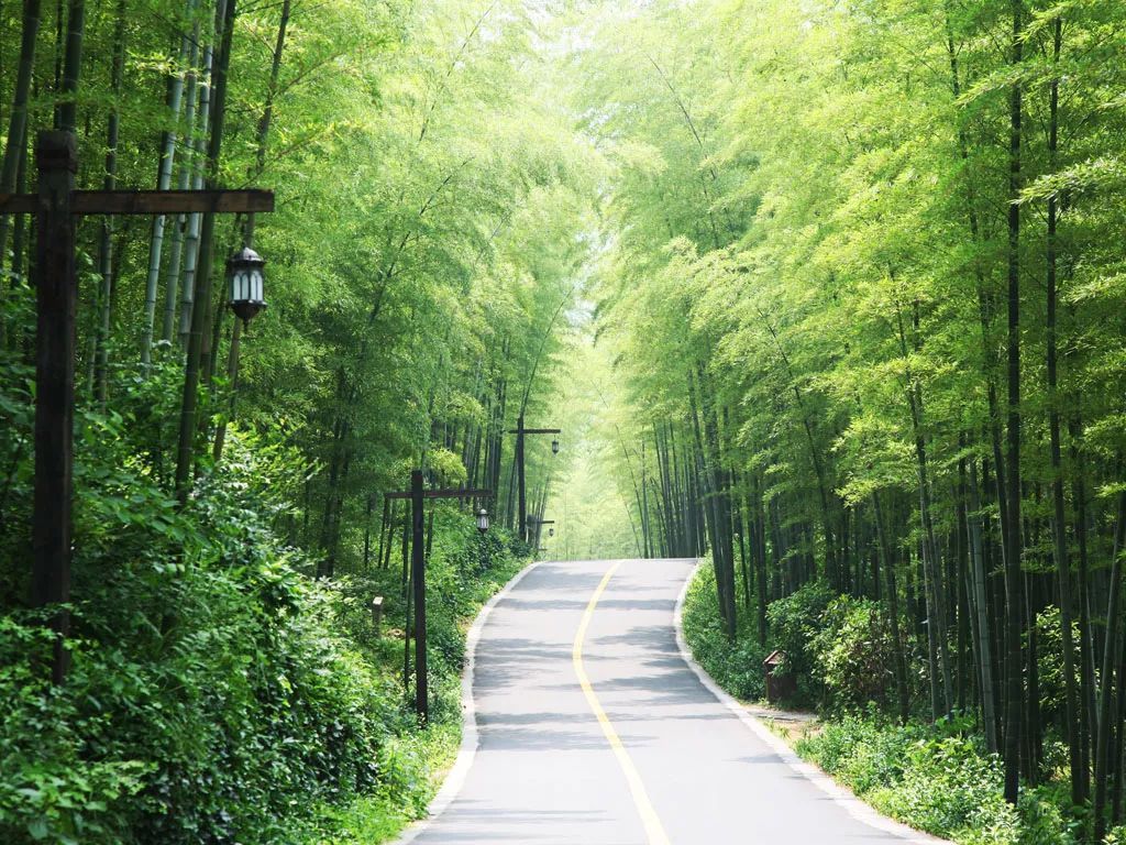 江苏溧阳南山竹海是几a级景区,江苏旅游十大必去景区南山竹海