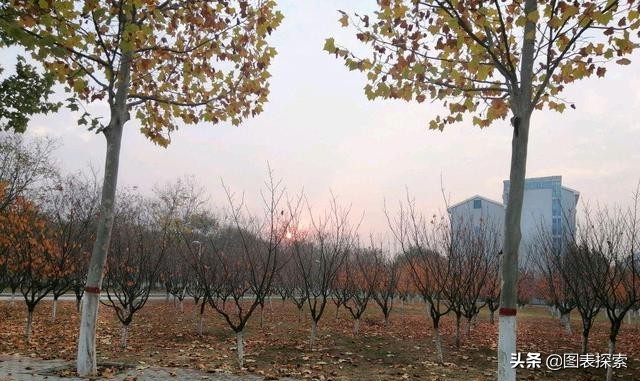 漯河医专全国第一,漯河医专2011届