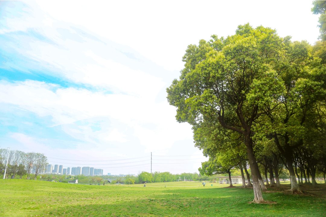 南京这些免费公园，让你任性玩个遍