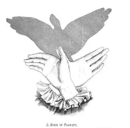 宝宝睡前玩的手影游戏,儿童手脑协调游戏