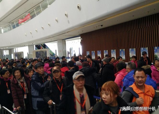 1500足够日本“剁手游”，大众化邮轮出趟国门，3快乐，4遗憾