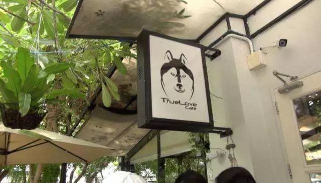 曼谷免税店攻略之自由行,曼谷东西最全的免税店