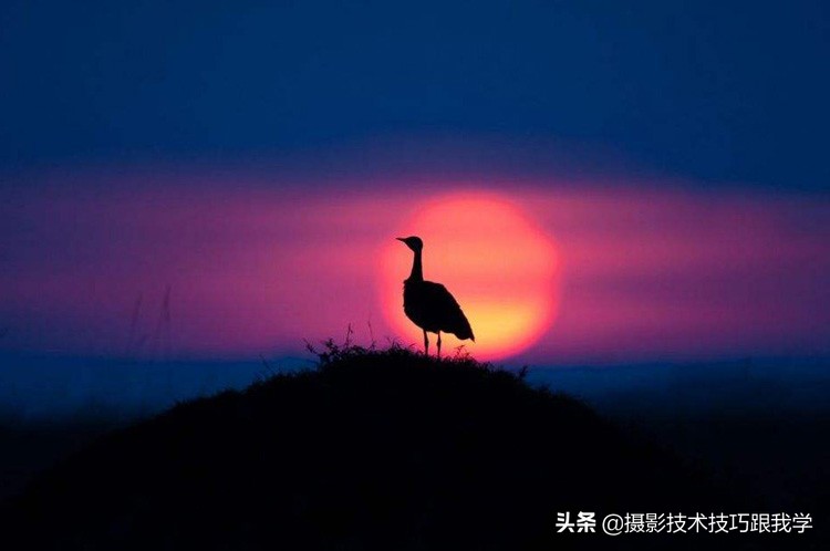 如何拍好日出日落,拍日出日落景色技巧有哪些