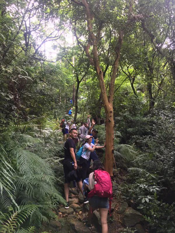 风雨无阻雨水版,风雨无阻赣江游