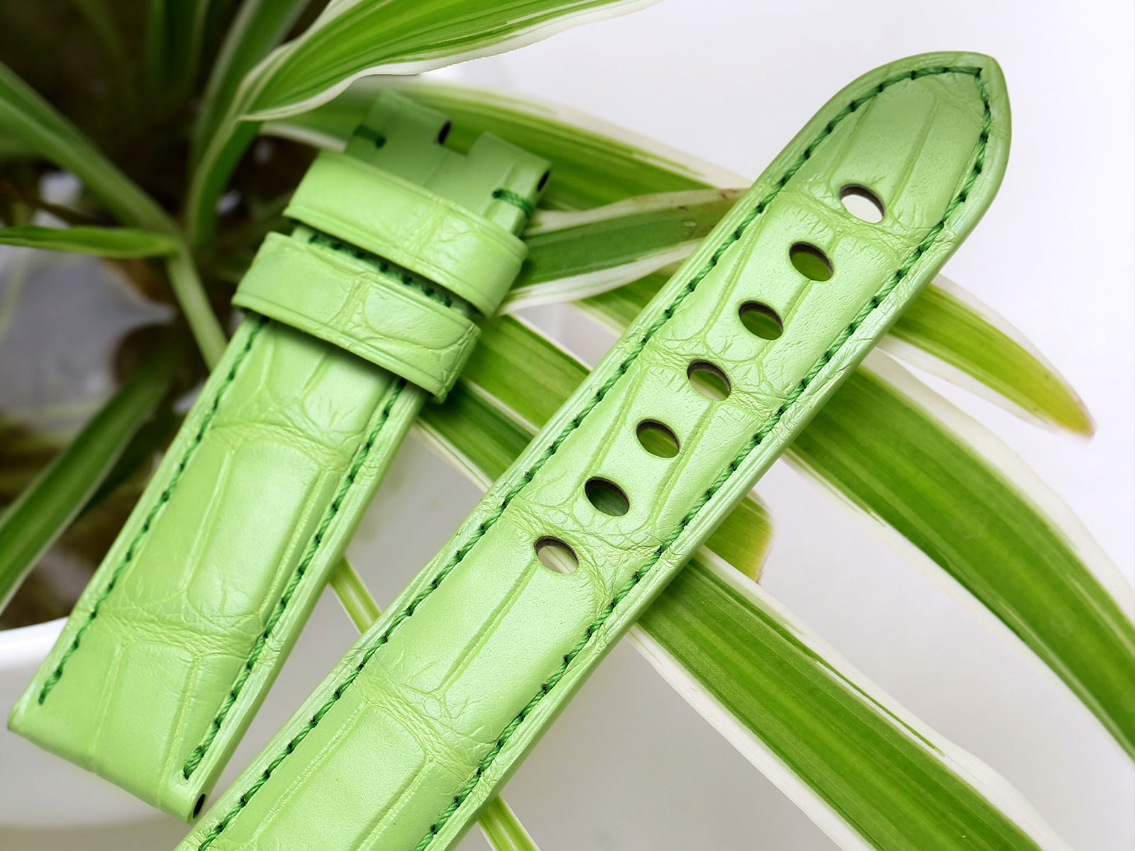 皮中王者还讲究等级划分，鳄鱼皮革档次如何分类？