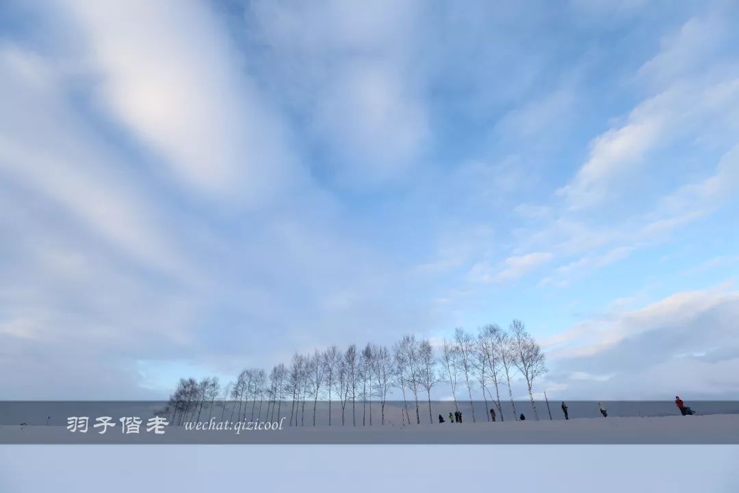 老实说，这一趟北海道就是为了拍好看的照片去的