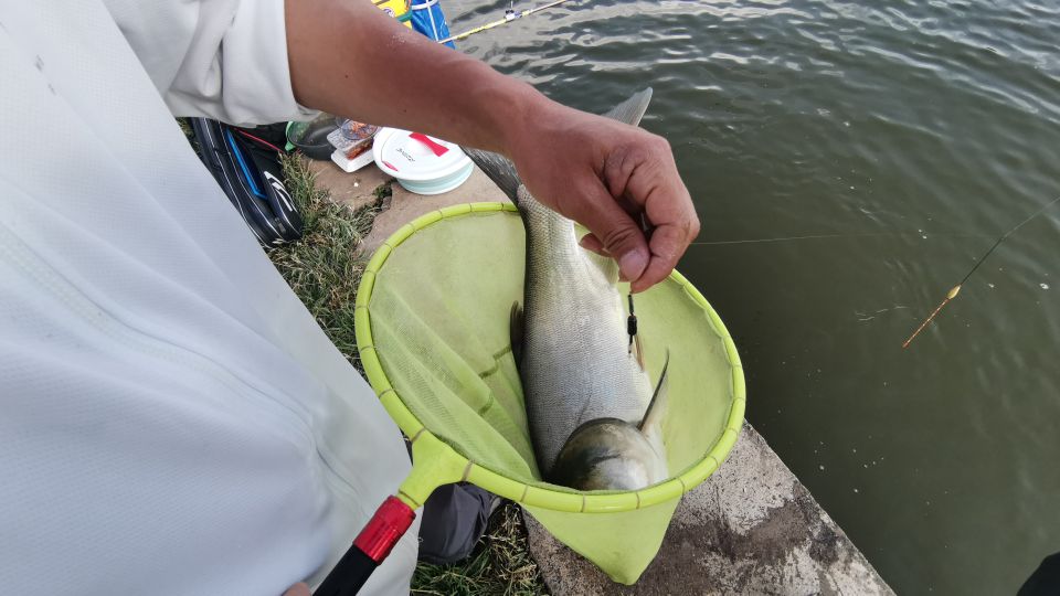 昆明周边钓青鱼的水库,昆明附近不收费的野钓塘