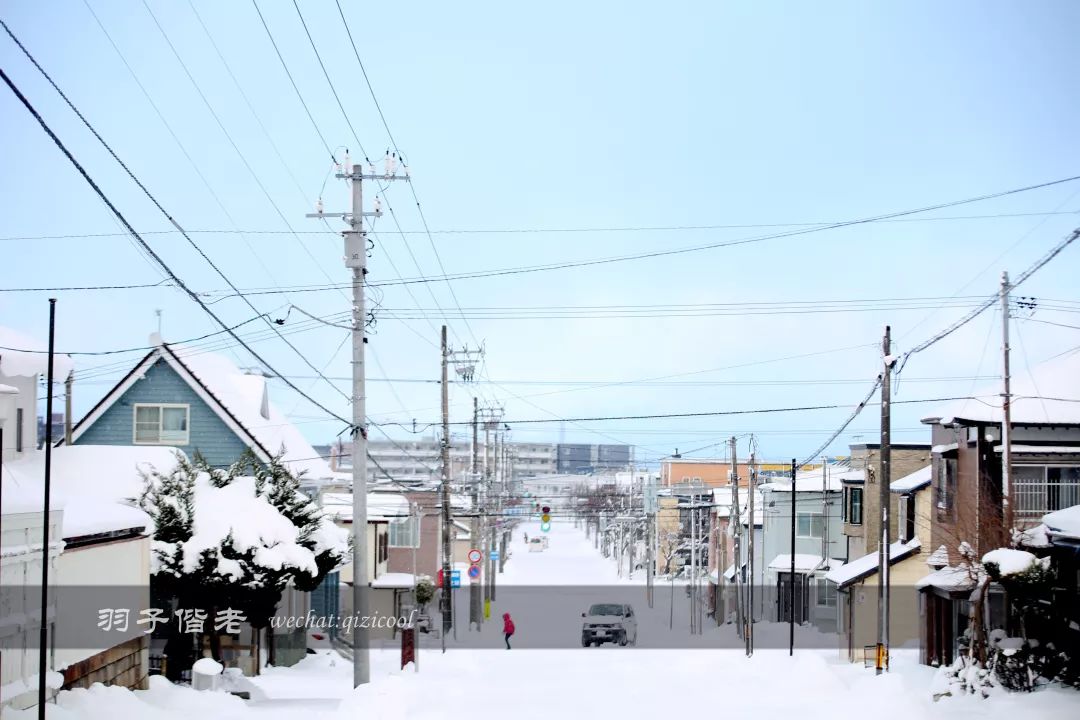 老实说,这一趟北海道就是为了拍好看的照片去的