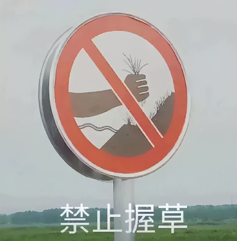 被1000个玩家追杀,5名玩家被数十名玩家追杀