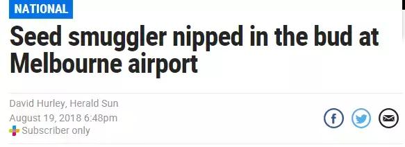 入境大陆携带超额物品如何处罚,出境飞机禁带物品一览表