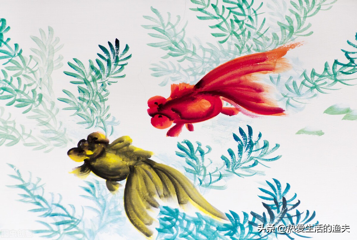 金鱼五六天不喂食会饿死吗,金鱼几天不喂食会不会死掉