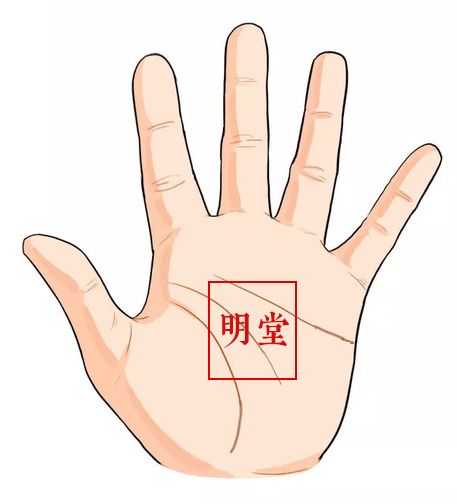 最命苦的手相手型,手中间一条直纹是什么手相