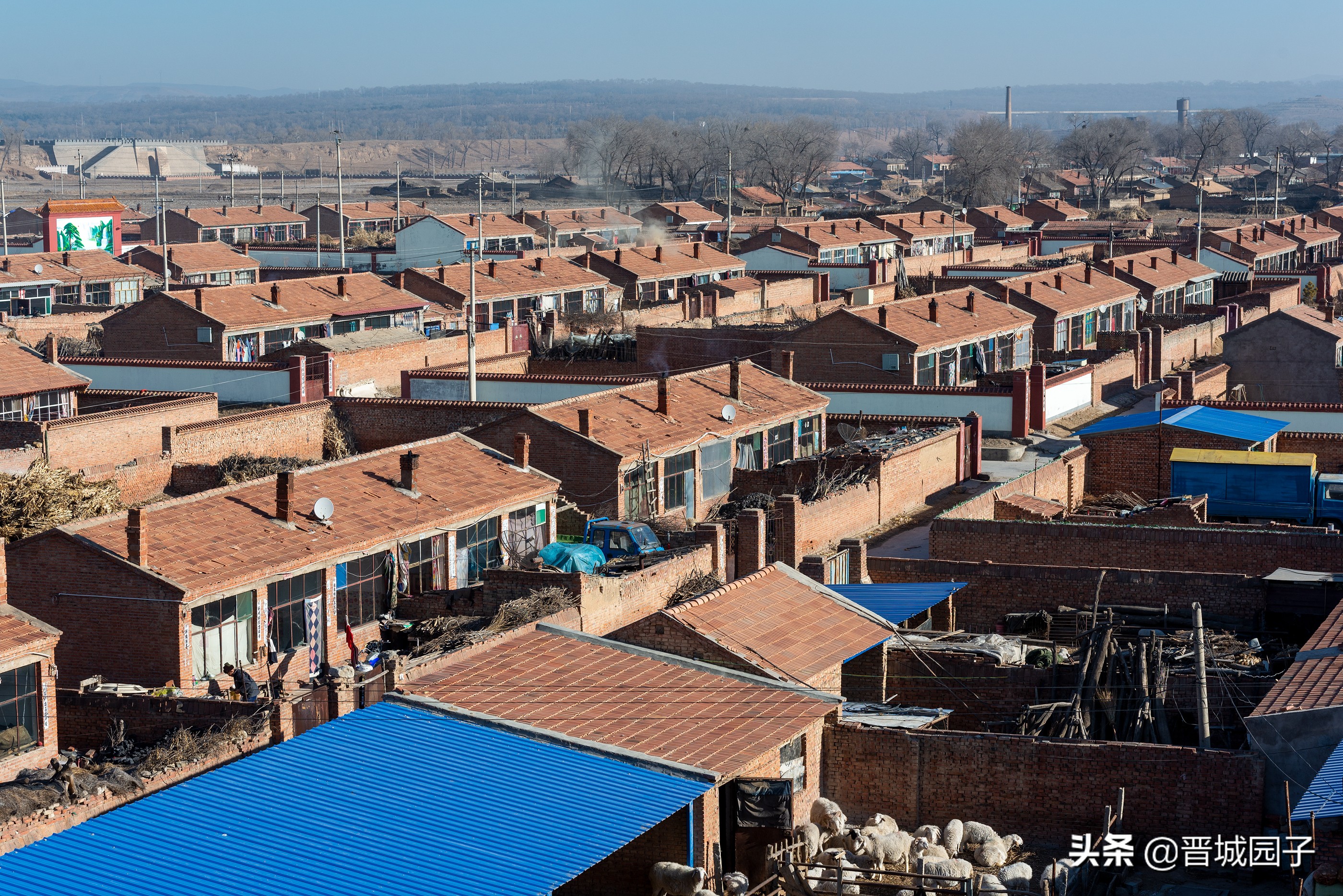 骄萌的毛驴洁白的羊群率真的老汉，看冬日的右玉古城阳光明媚