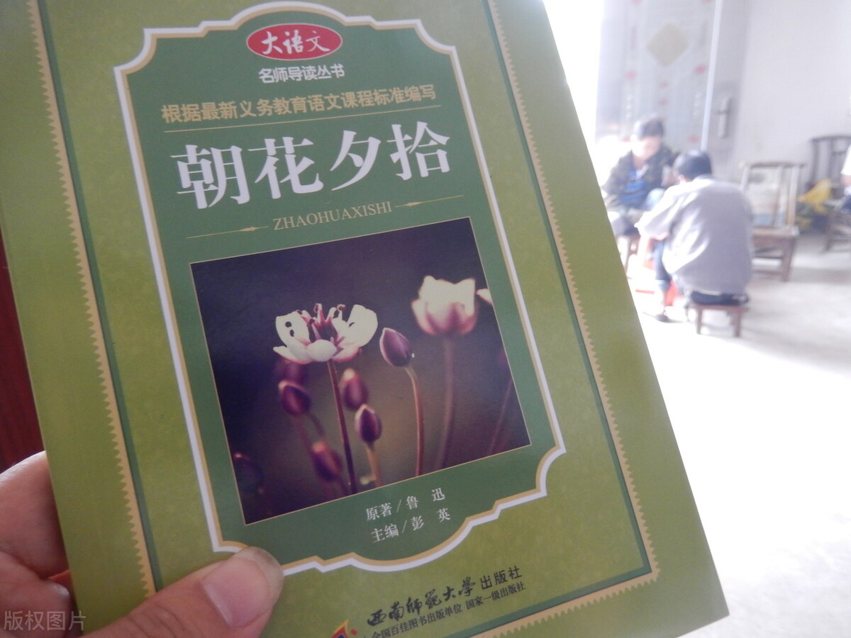 朝花夕拾第一章精彩片段的读后感,朝花夕拾读后感300字到400字
