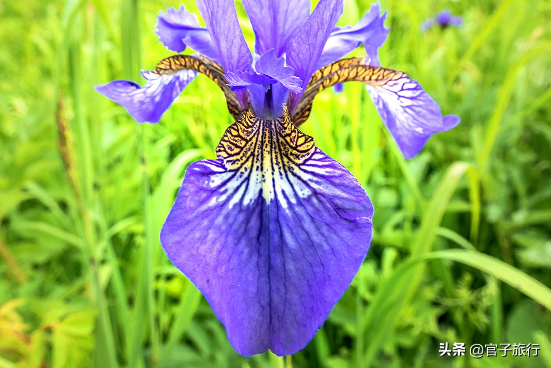 自驾游夏天长白山旅游攻略,夏天长白山附近旅游攻略