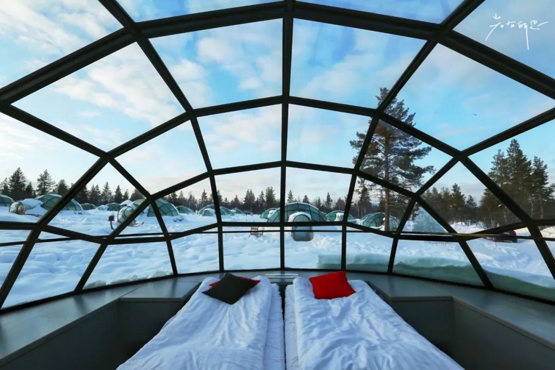 光遇欧若拉季新渴望的东西是什么,欧若拉最渴望的时候