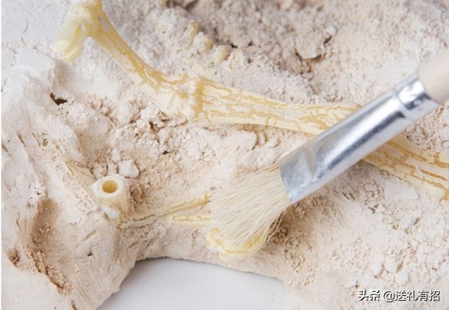 儿童节最适合送什么礼物,儿童节送点什么惊喜