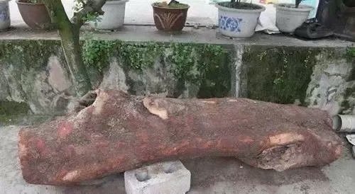 海南黄花梨和小叶紫檀金丝楠木,缅甸花梨和海南黄花梨的图片对比