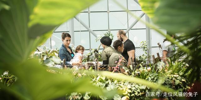 去迪拜要做的十件事,去迪拜必须会阿拉伯语吗