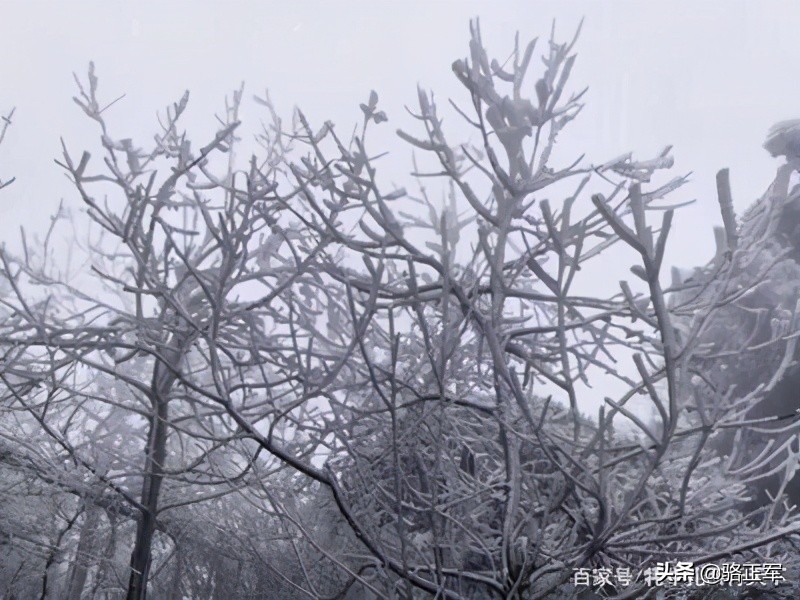 南轩传奇（长篇小说连载之二十一）