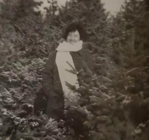 假如我能穿越,假如我能穿越到2020年3月