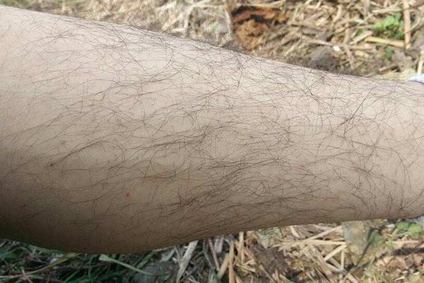 男生腿毛越多是什么原因,男人腿毛多意味着什么