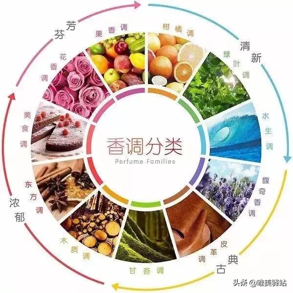 闻香识女人香水排行榜 (如何挑一款适合自己的香水)