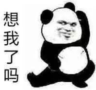 出尽洋相！珠海一奇葩男子躺马路中间睡大觉！过往司机提心吊胆！