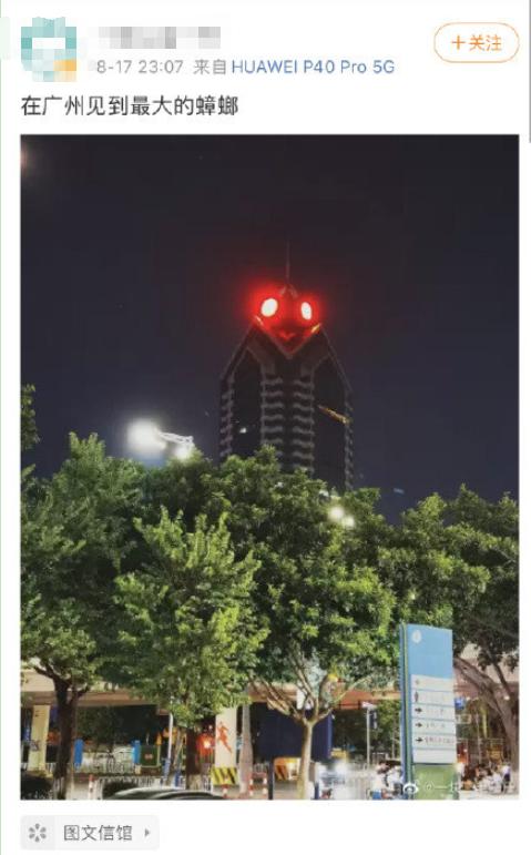 巨型蟑螂南方大蟑螂,广东巨型蟑螂和北方蟑螂对话