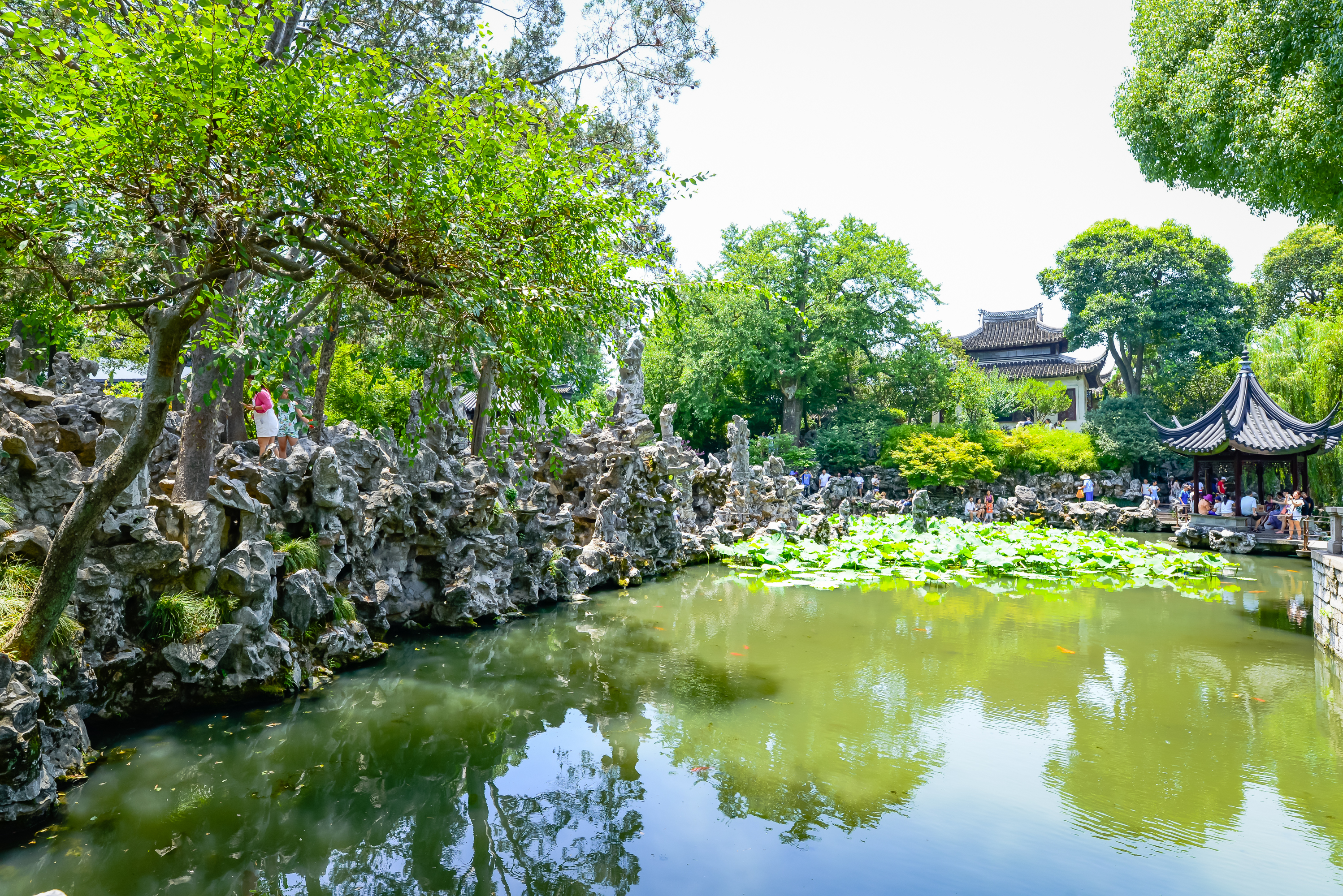 必去的苏州十大最美园林,苏州园林和苏州古典园林哪个好