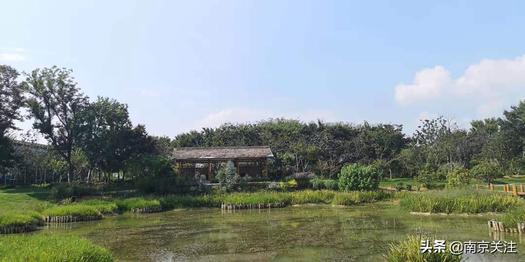 溧水三叶梦华苑有哪些好玩的地方,溧水三叶梦华苑秋天看什么