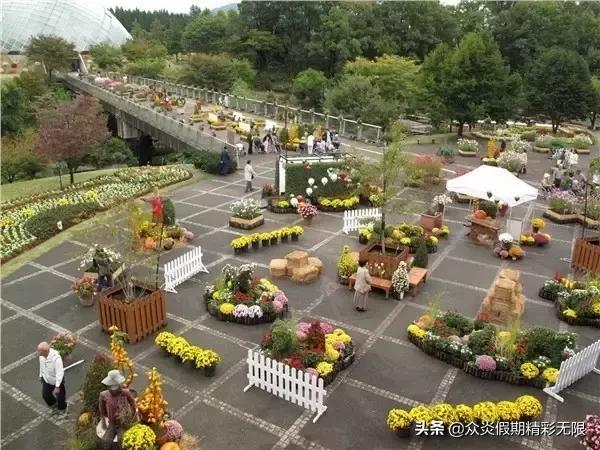 邮轮日本5天4夜游记攻略最全面,全球最豪华邮轮游日本