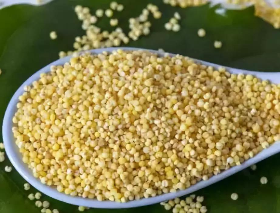 煮粥最上面一层沫要不要弄掉,如何煮出又甜又香的米粥