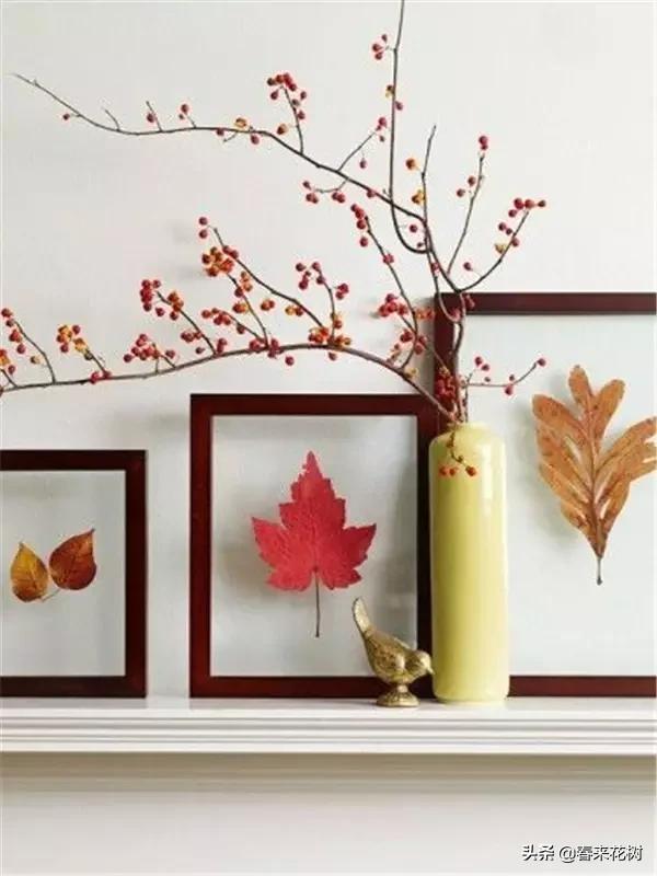 植物标本如何做简单又好看,植物能做什么手工