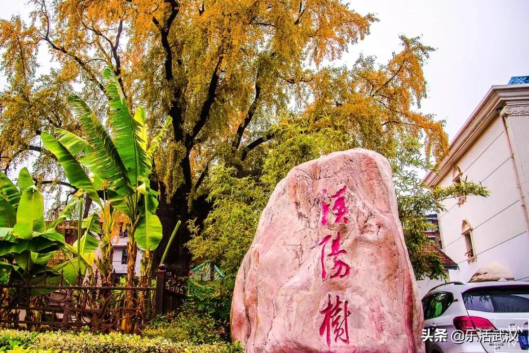 原来武汉有这么多好玩的打卡地,武汉周边新晋7大网红打卡地