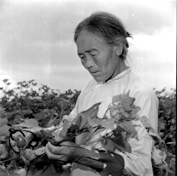 三八妇女节巾帼英雄人物,三八妇女节致敬各条战线巾帼英雄