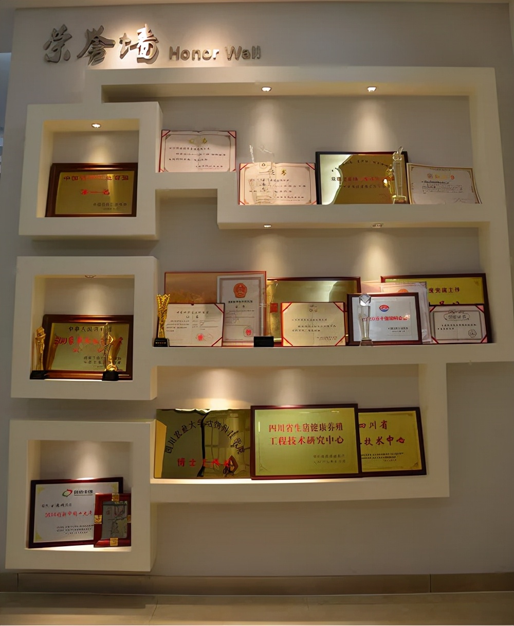 特驱集团发展,特驱集团反刍饲料