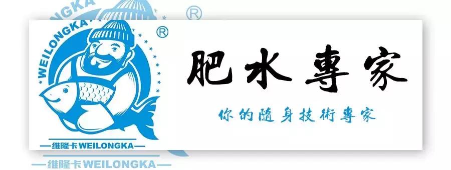 高温暴雨倒藻原因,高温天气烂根怎么处理