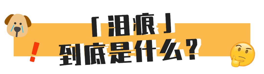狗狗泪痕怎么处理最有效,狗狗眼睛周围有泪痕怎么去除